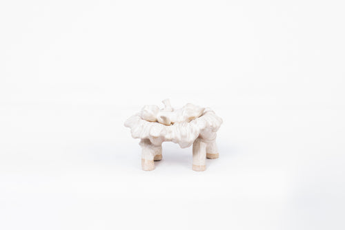 Baby Jesus In A Manger