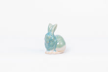 Bunny-medium