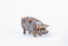 Pig-large