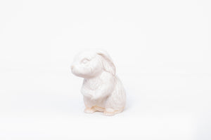 Bunny-Small