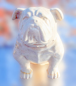 Bulldog-small