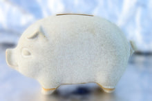 Piggy Bank